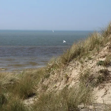 Duinhoeve